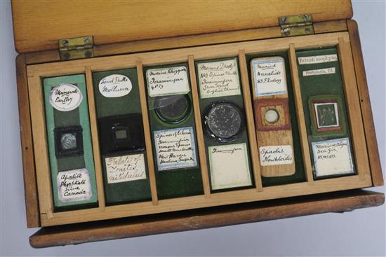 A box of microscope slides